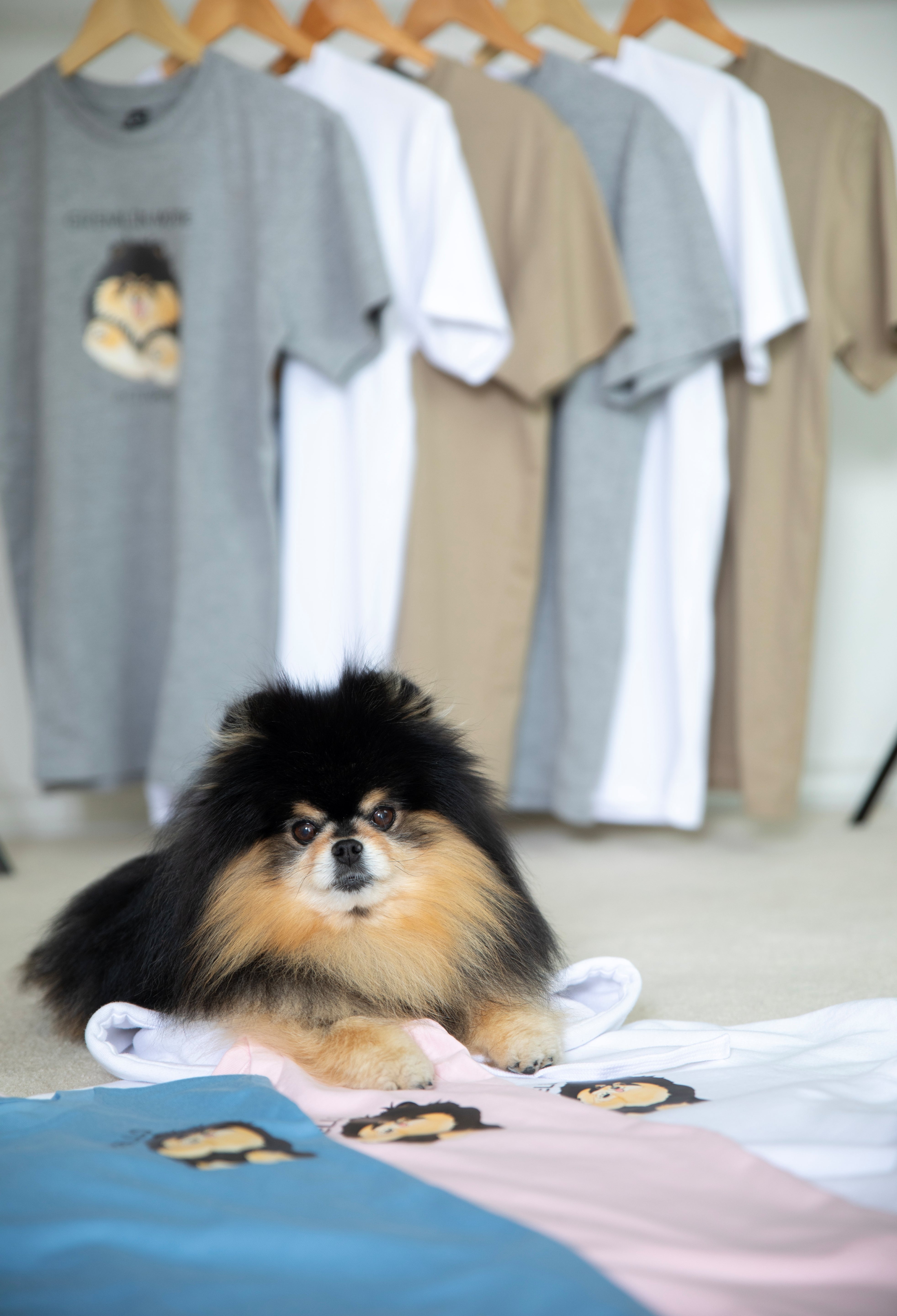 Merch