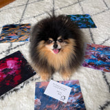 Limited Edition Pawtrait Prints - READ DESCRIPTION