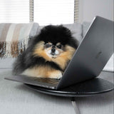 Mocha Pom posing for a photo on a computer