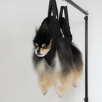 Mocha Pom sitting in Sirius Alpha by Mocha Pom grooming sling