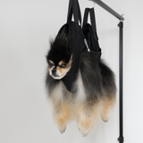 Mocha Pom sitting in Sirius Alpha by Mocha Pom grooming sling