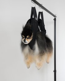 Mocha Pom sitting in Sirius Alpha by Mocha Pom grooming sling