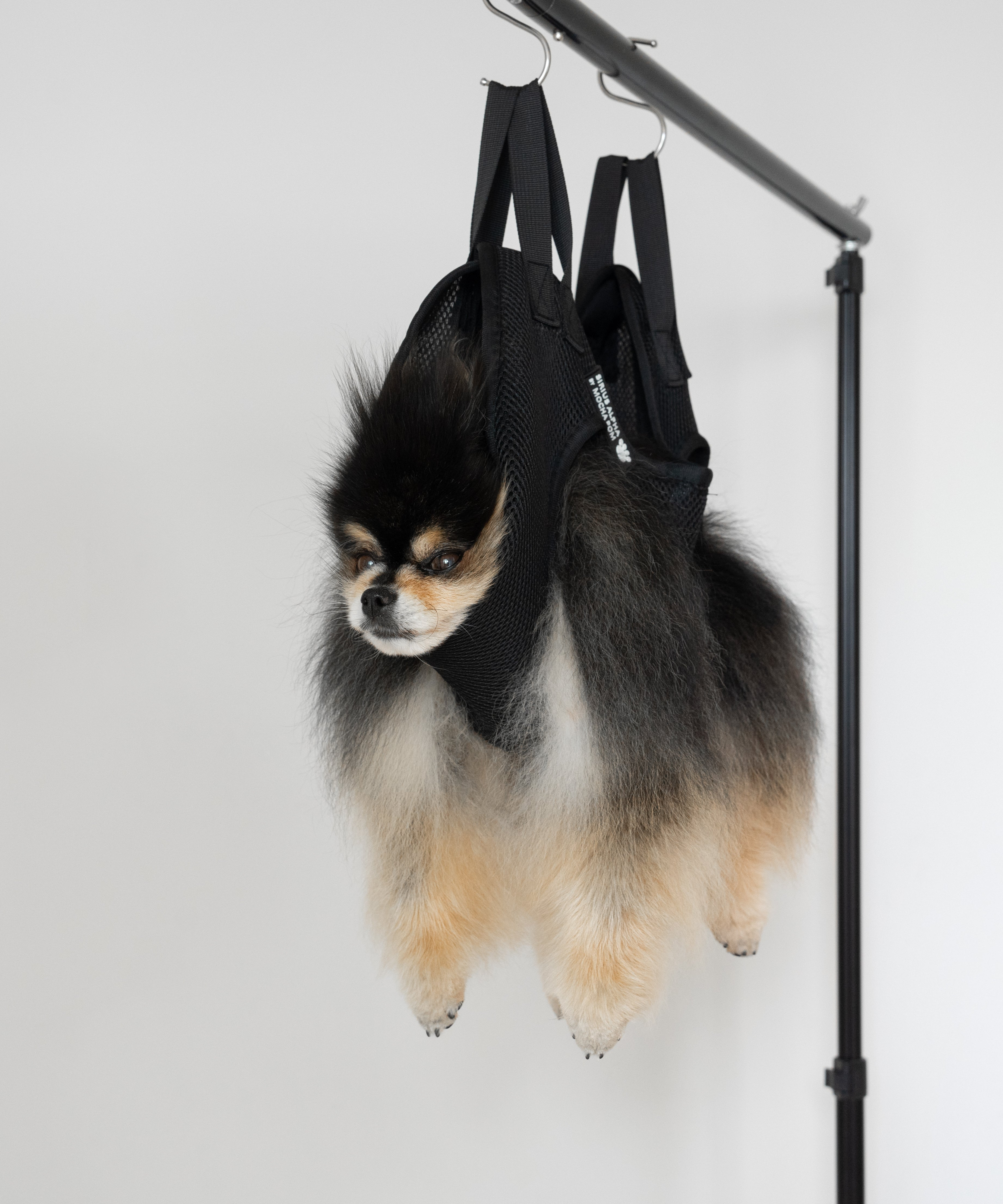 Mocha Pom sitting in Sirius Alpha by Mocha Pom grooming sling