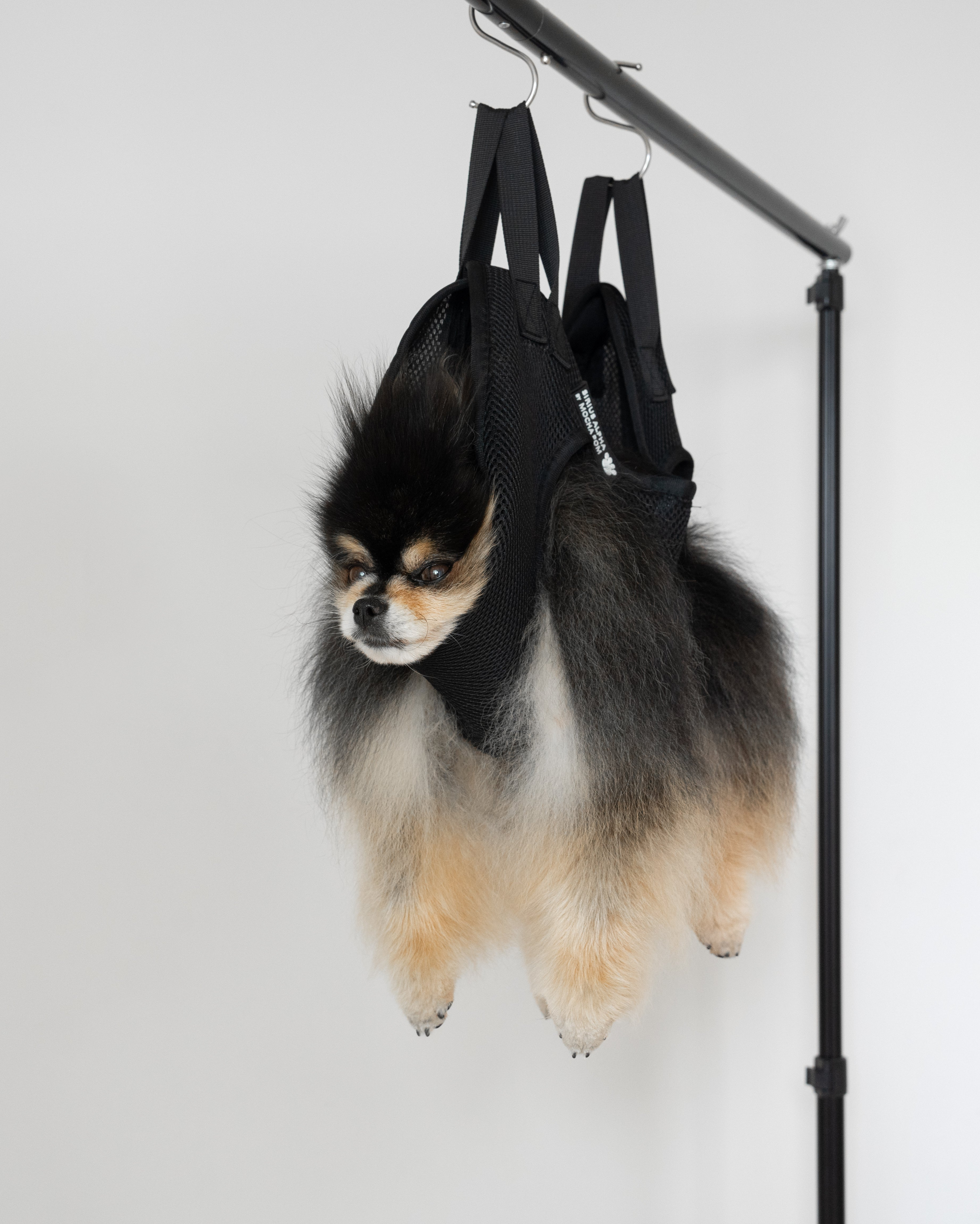 Mocha Pom sitting in Sirius Alpha by Mocha Pom grooming sling