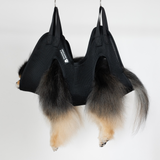 Mocha Pom sitting in Sirius Alpha grooming bag