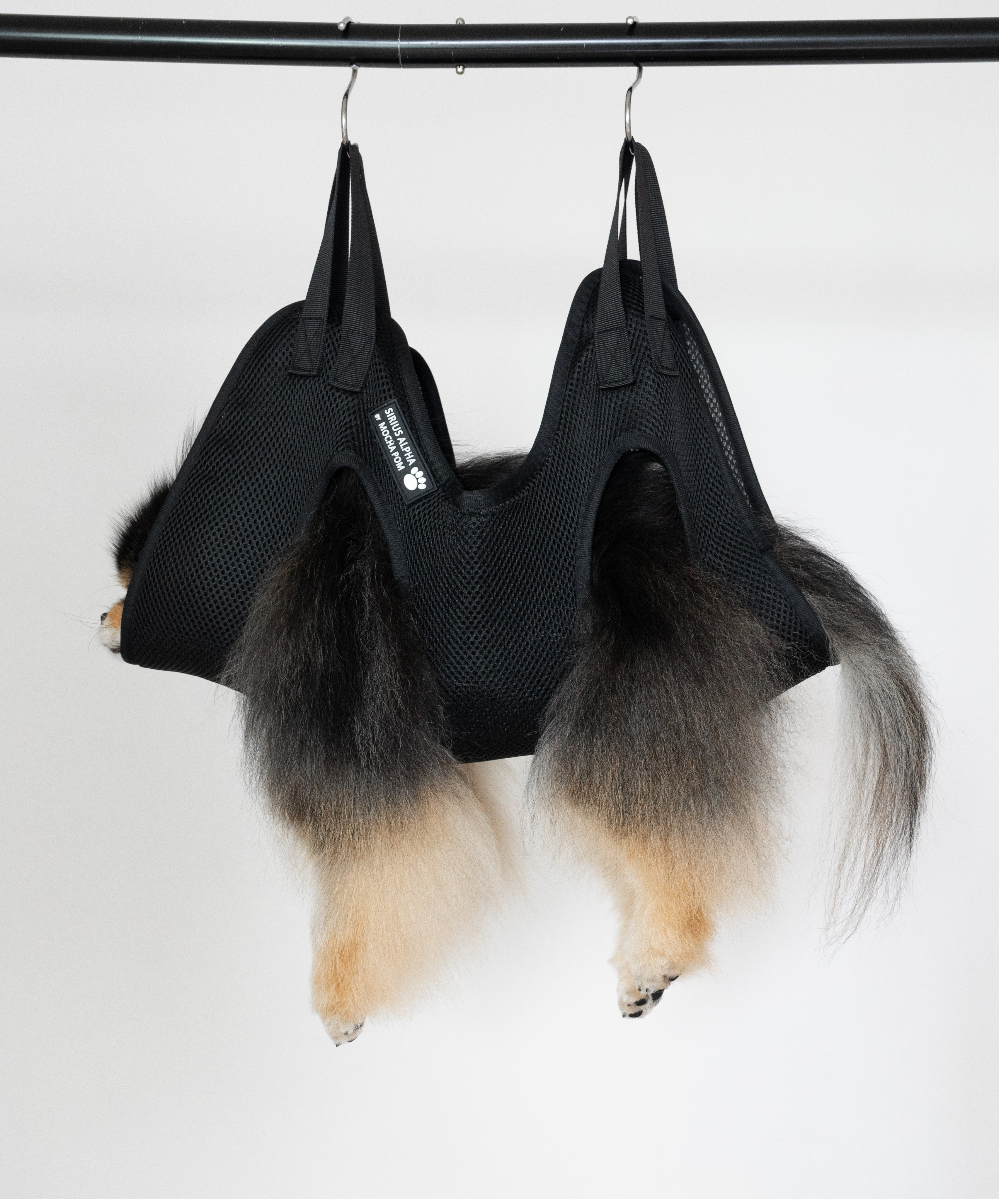 Mocha Pom sitting in Sirius Alpha grooming bag
