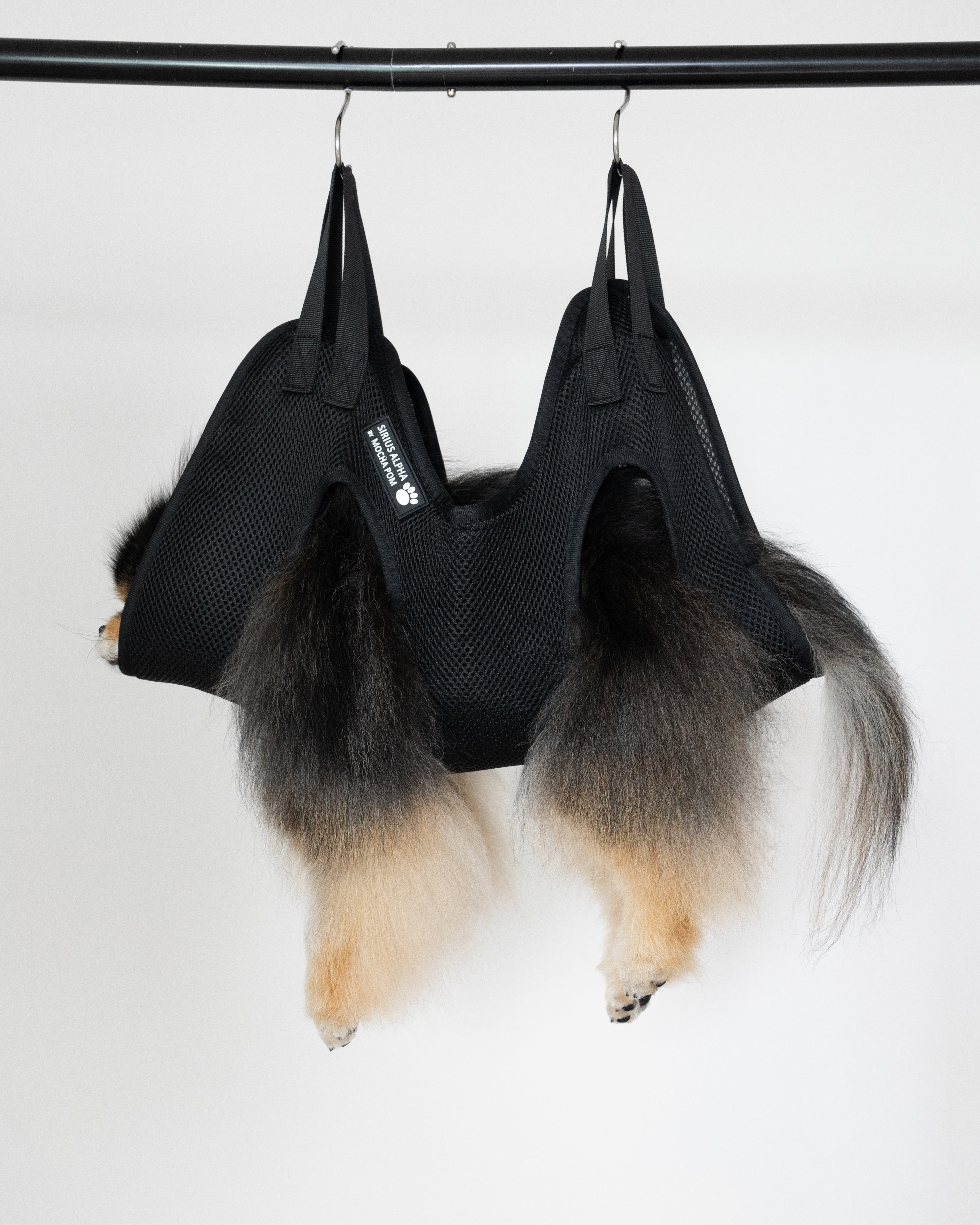 Mocha Pom sitting in Sirius Alpha grooming bag