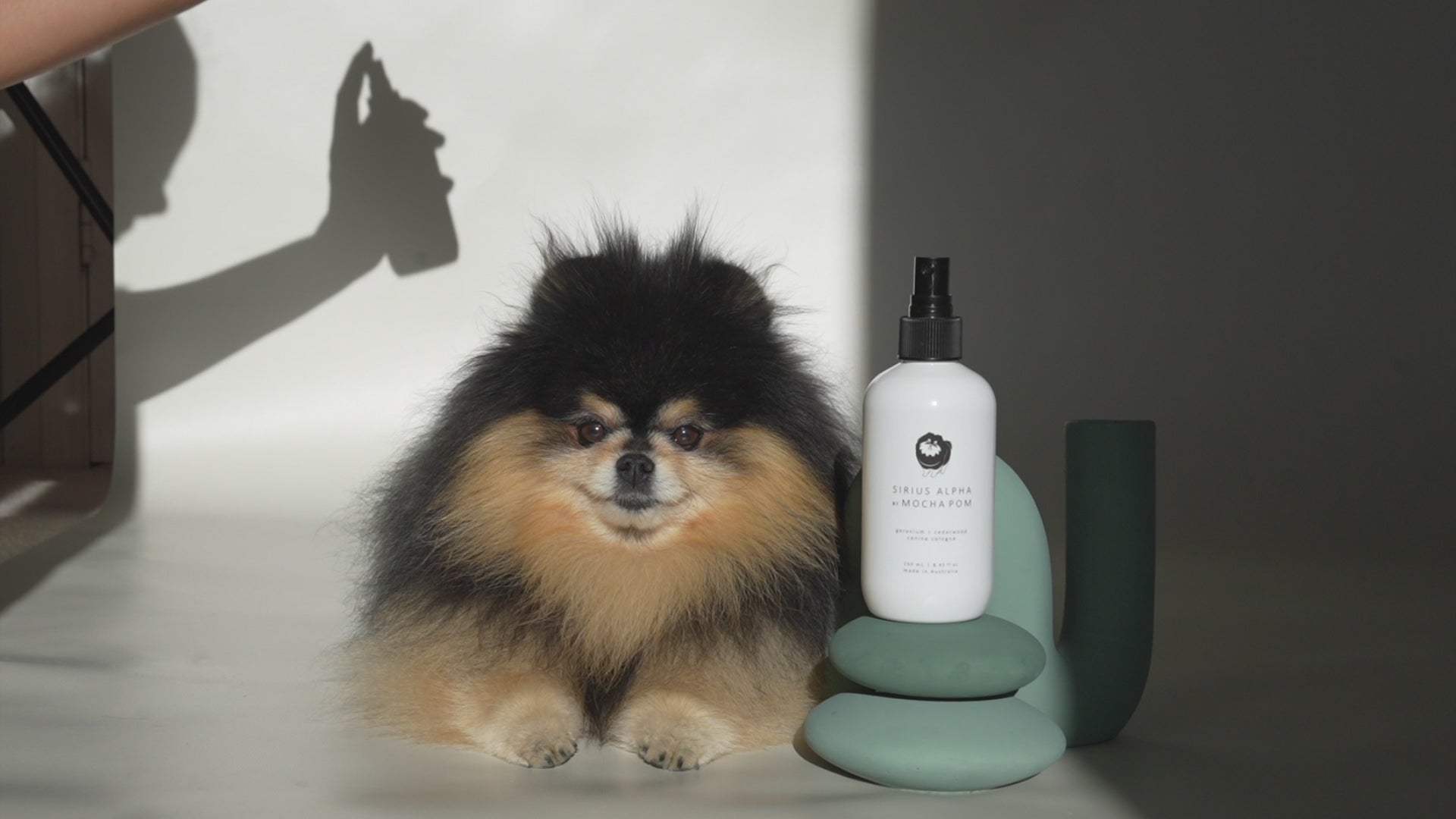 Essentials Grooming Bundle – Mocha Pom