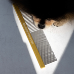 Mocha Pom posing with Sirius Alpha comb 